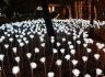 [화보] 가을밤 도심 밝히는 '속초 빛 축제 청초환희'
