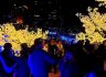 부산 해운대구, 16일 화려한 빛의 향연 ‘빛 축제’ 개막