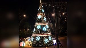 5fead0a81973a6561024