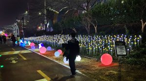 가든 news 불광천 1