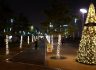 2016 송도 불빛축제, 빛나는 LED 장미