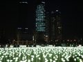 [Week&] 가을 밤을 물들일 인천송도불빛축제