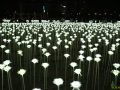 '인천송도불빛축제' 개막… 한달간 가을밤 밝힌다