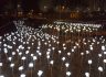 안양천 실개천에 LED 장미 '활짝'