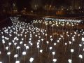 양천구, 안양천 실개천 ‘LED 장미정원’ 설치