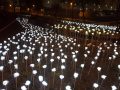 안양천 생태공원에도 ‘LED 장미정원’ 활짝