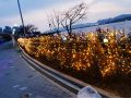 의왕 왕송호수 크리스마스 축제 성황리 종료