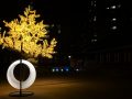 “한옥마을에 수놓은 5m 대형트리와 1260송이 LED장미”