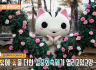 [고양TV] 투어하고양 생활톡톡 '고양플랜테이션'