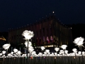 3000송이 LED 장미가 '활짝'…하이원리조트 화이트 루미나레 LED 꽃정원 운영