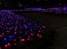 「속초, 빛 축제“청초환희”」도심 속 야간축제