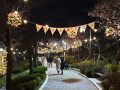 서울의 벚꽃 명소 '석촌호수 벚꽃 축제'