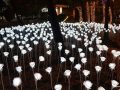 [화보] 가을밤 도심 밝히는 '속초 빛 축제 청초환희'